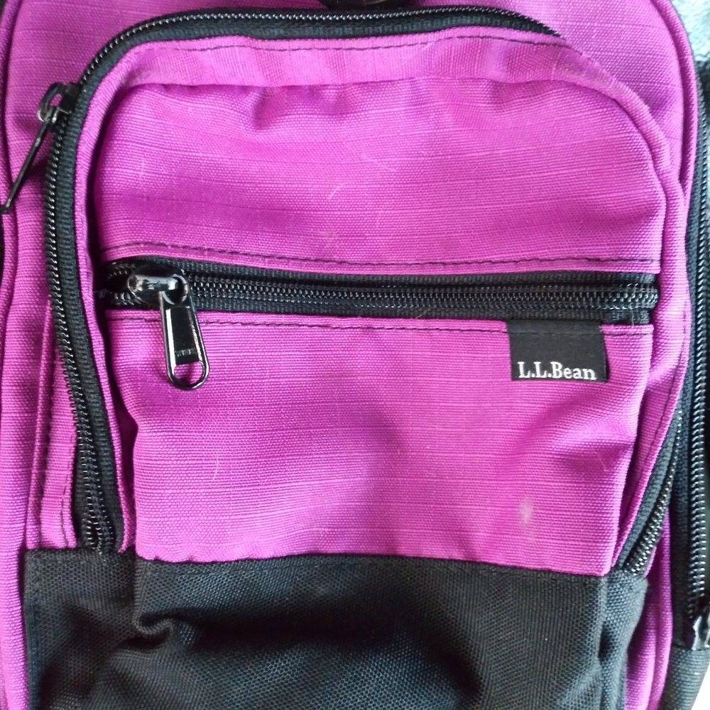 LL Bean Lunch Cooler
